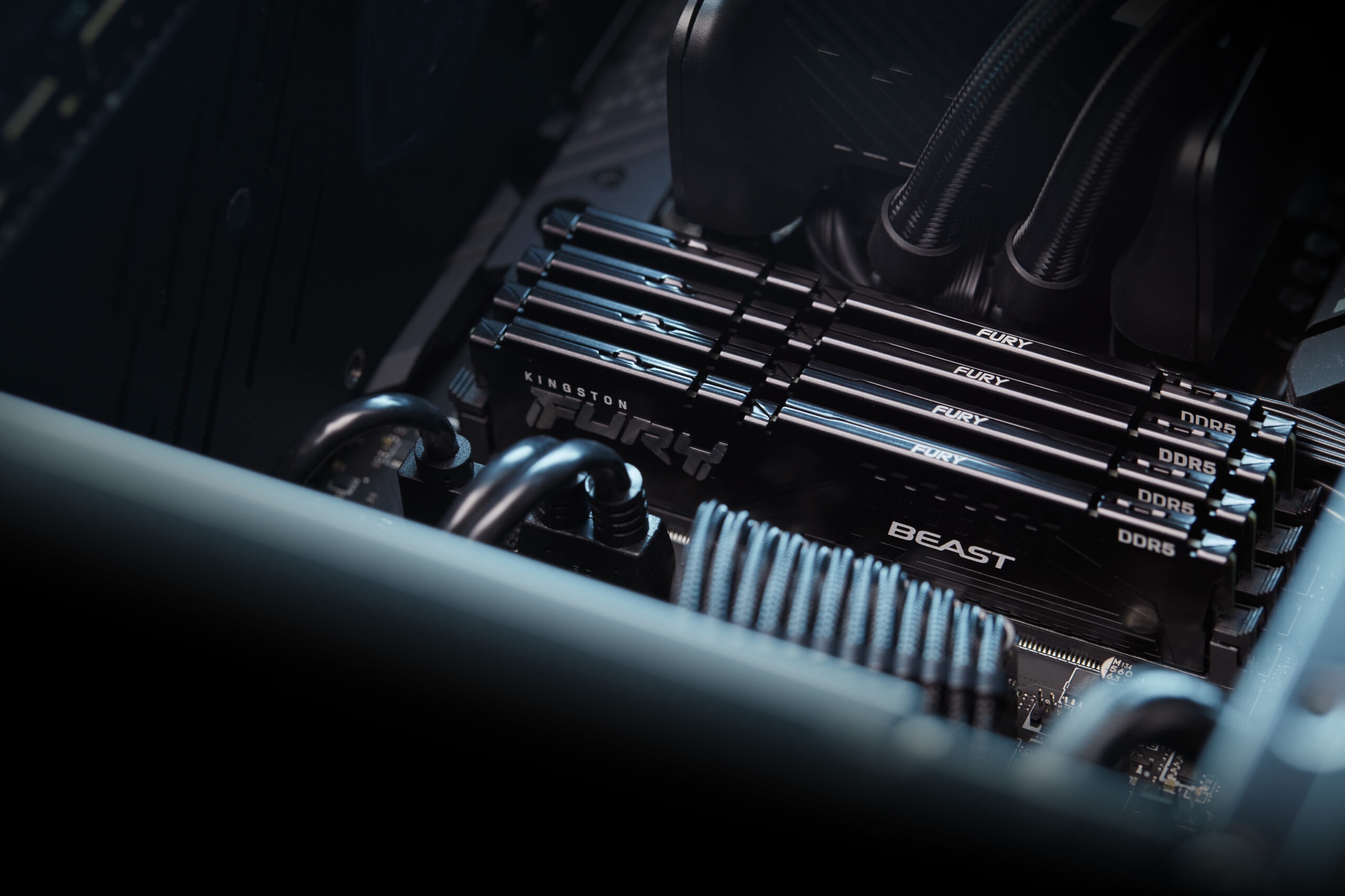 Kingston KF556C40BB-16 FURY Beast DIMM, 1x 16GB, DDR5, 5600 Mhz, CL40, Black, 288-pin - Afbeelding 15