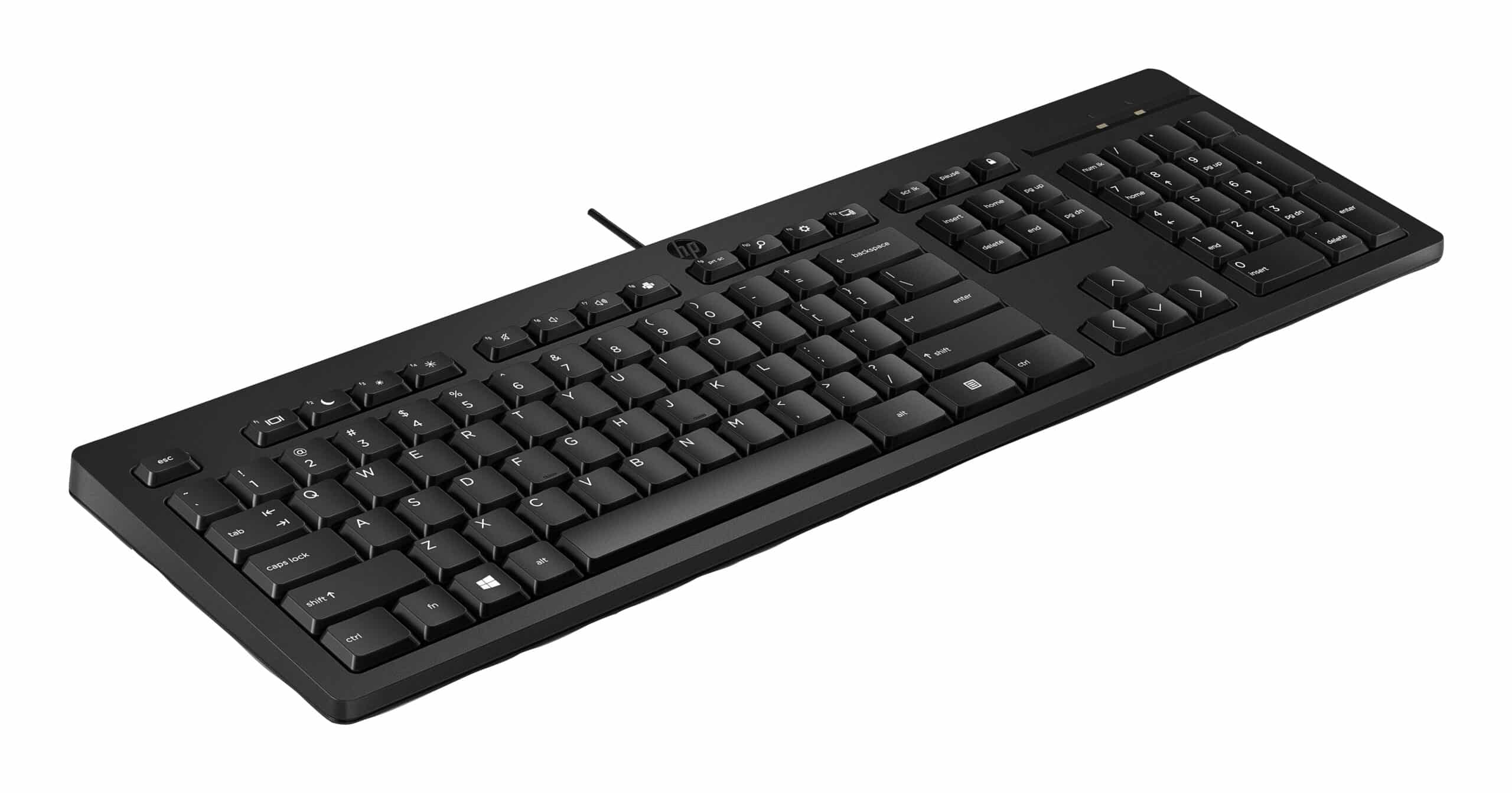 HP 125 toetsenbord met kabel - Afbeelding 2