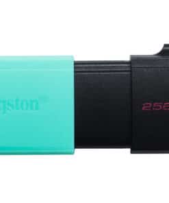 Kingston Technology DataTraveler Exodia M 256 GB, USB 3.2 Gen 1 (zwart + blauwgroen)