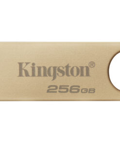 Kingston Technology DataTraveler 256GB 220MB/s Metal USB 3.2 Gen 1 SE9 G3