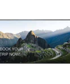 AG Neovo PO-5502 Digitale signage flatscreen 139,7 cm (55") LCD 2500 cd/m² Full HD Zwart 24/7