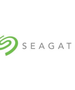 Seagate IronWolf ST10000VN000 interne harde schijf 10 TB 7200 RPM 256 MB 3.5" SATA III