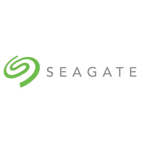 Seagate IronWolf ST10000VN000 interne harde schijf 10 TB 7200 RPM 256 MB 3.5" SATA III