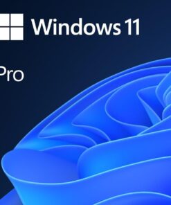 microsoft FQC-10538 Windows 11 Pro 64Bit, DSP, 1pk, Italian DVD