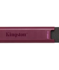 Kingston Technology DataTraveler 256GB Max Type-A 1000R/900W USB 3.2 Gen 2 - Afbeelding 2