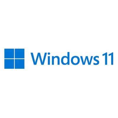Microsoft FQC-10532 Windows 11 Pro French, 64 Bit, DSP, 1pk, DVD