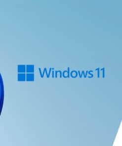 HP Z2 Tower G1i Wolf Pro Security Edition Intel Core Ultra 7 265K 32 GB DDR5-SDRAM 1 TB SSD Windows 11 Pro Workstation AI Workstation, AI PC Zwart - Afbeelding 4