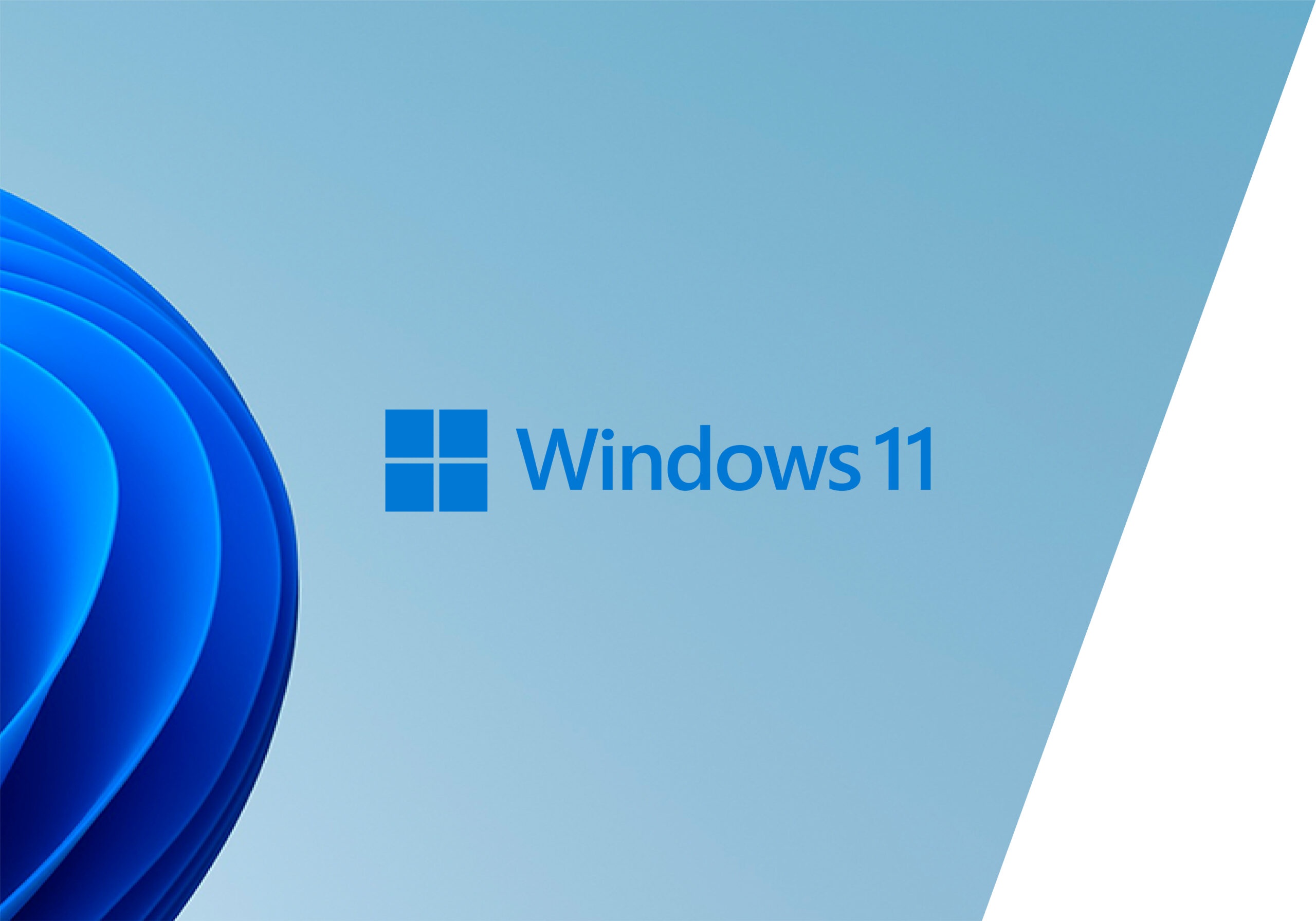 HP Z2 Tower G1i Wolf Pro Security Edition Intel Core Ultra 7 265K 32 GB DDR5-SDRAM 1 TB SSD Windows 11 Pro Workstation AI Workstation, AI PC Zwart - Afbeelding 4