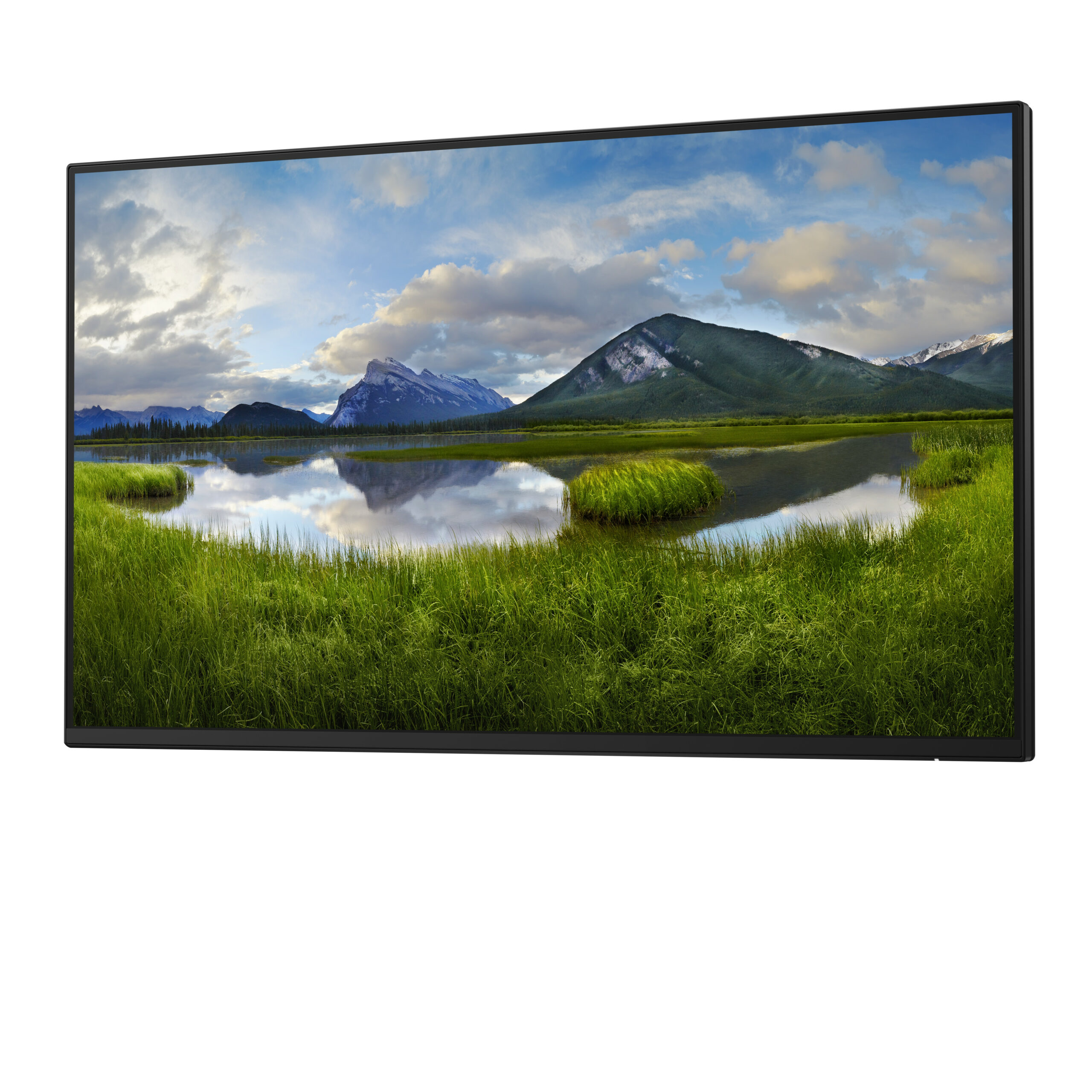 DELL Pro Plus P2425H_WOST computer monitor 61 cm (24") 1920 x 1080 Pixels Full HD LCD Zwart - Afbeelding 2