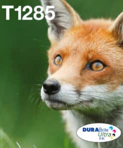 Epson Fox T128 Vos DURABrite Ultra multipack vierkleuren EasyMail-inkt