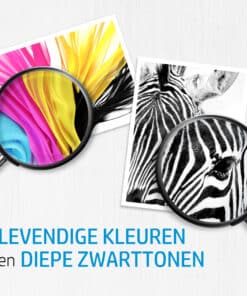 HP 364 originele fotoinktcartridge - Afbeelding 3