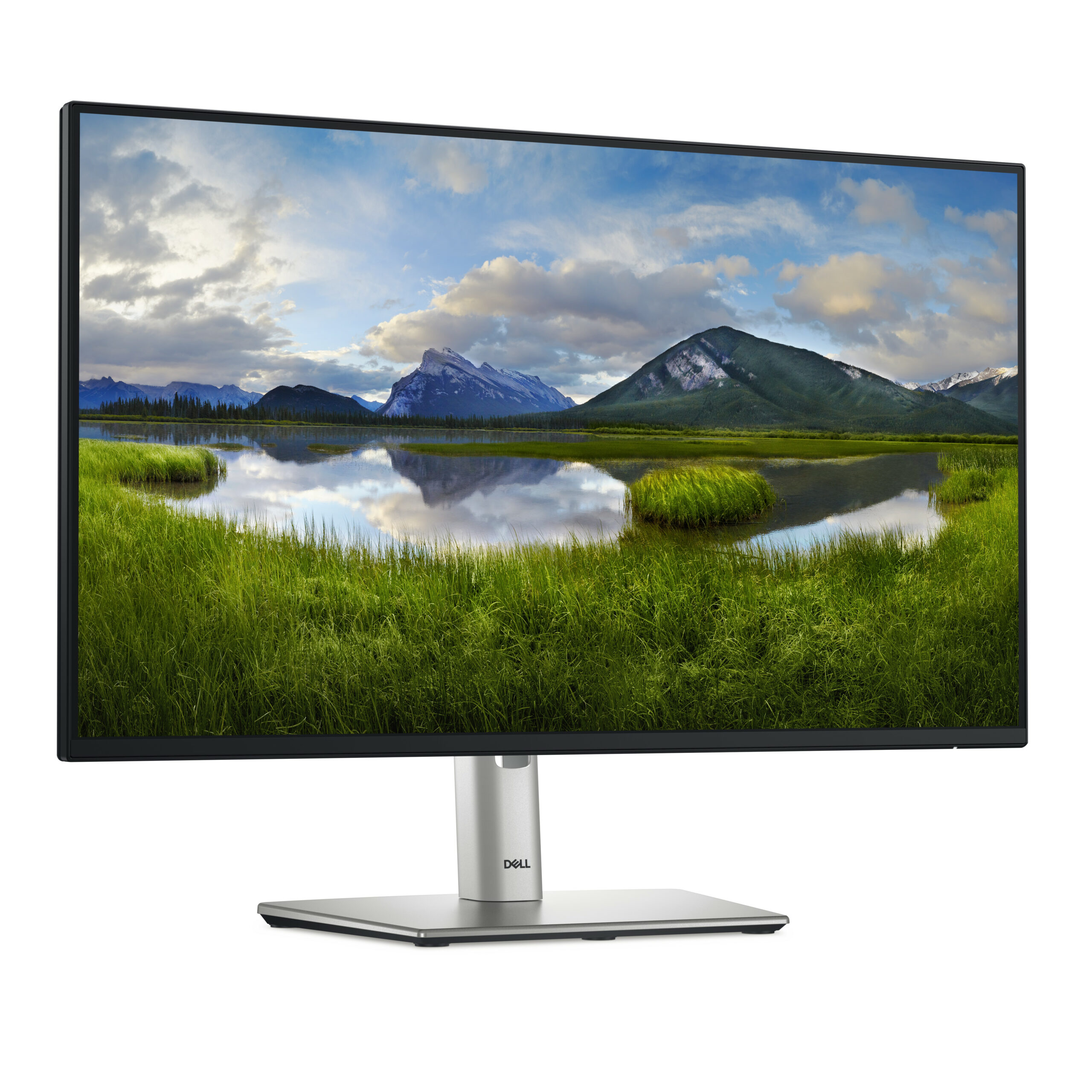 DELL Pro Plus P2425H computer monitor 60,5 cm (23.8") 1920 x 1080 Pixels Full HD LCD Zwart - Afbeelding 3