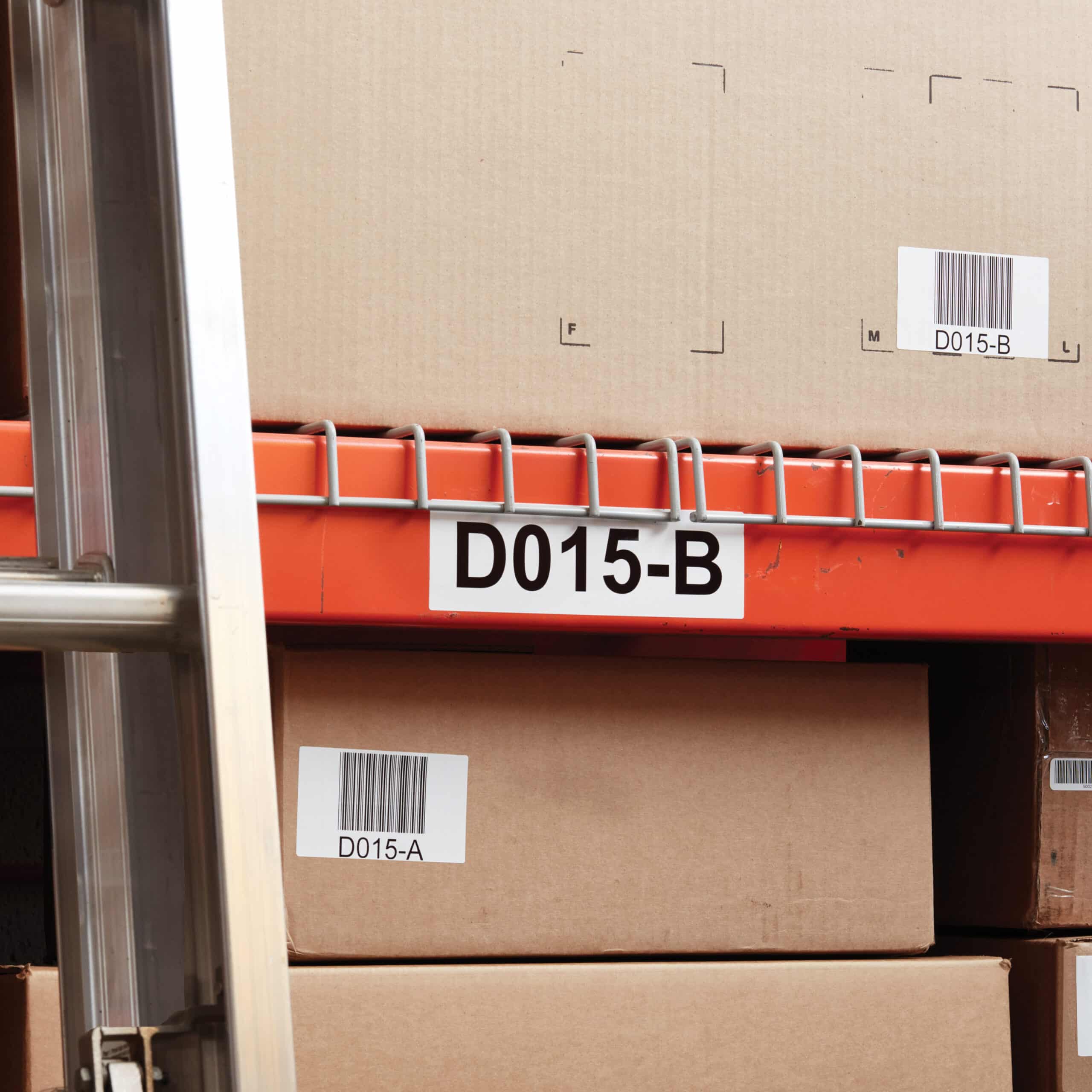DYMO originele Duurzame LabelWriter labels | 59 mm x 102 mm | Witte Poly | 300 zelfklevende etiketten | Stevige labels voor de LabelWriter labelprinters - Afbeelding 2