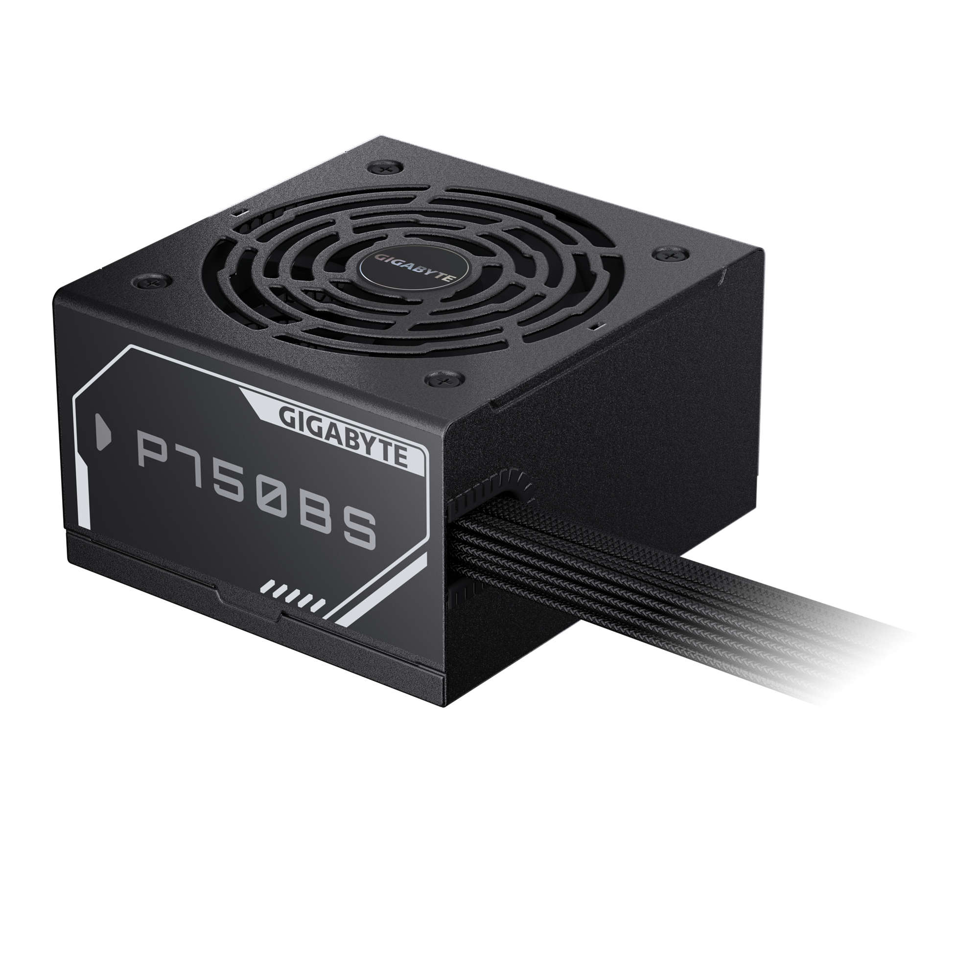 GIGABYTE P750BS power supply unit 750 W 20+4 pin ATX ATX Zwart - Afbeelding 5