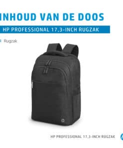 HP Professional 17,3-inch rugzak