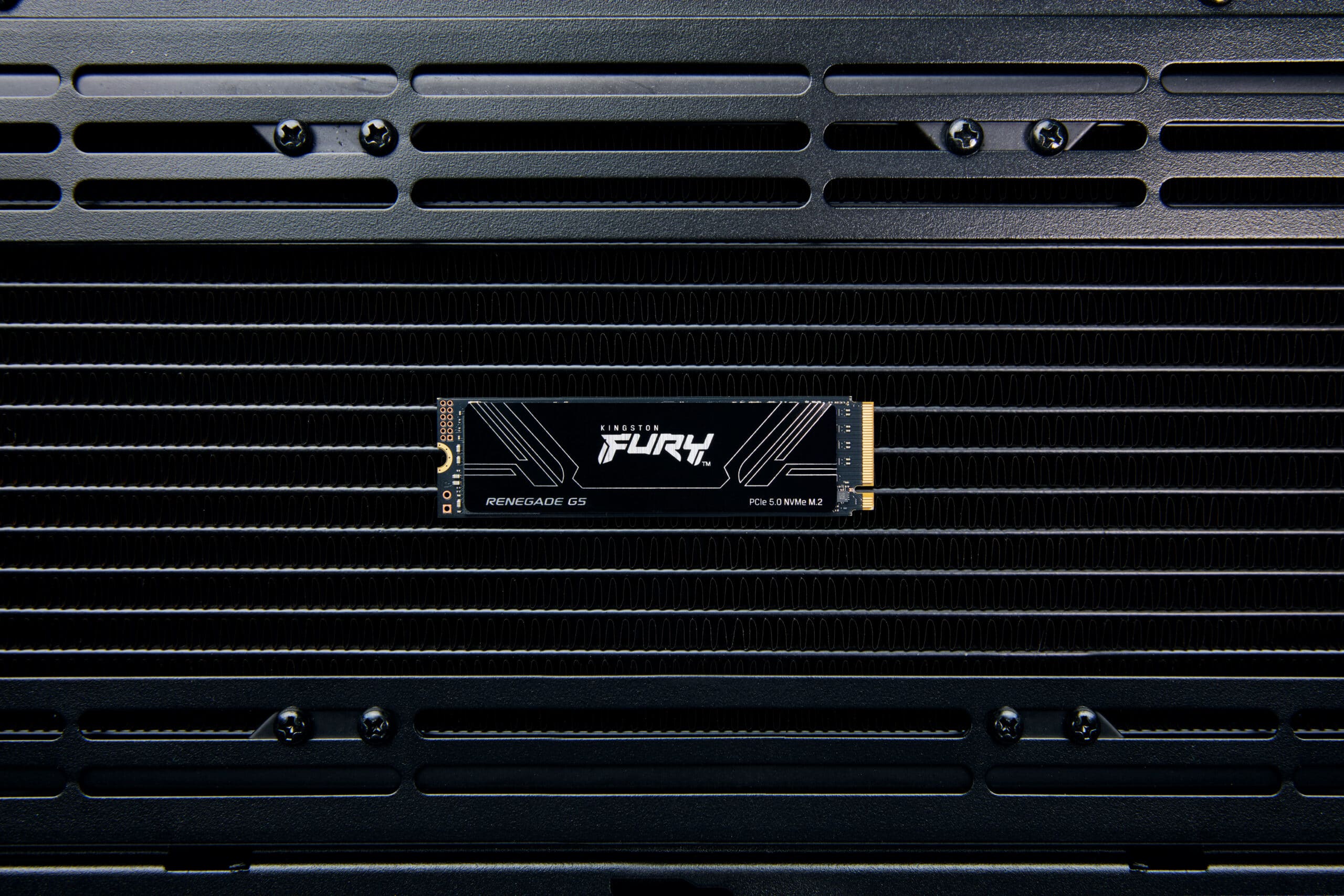 Kingston Technology 8T FURY RENEGADE G5 M.2 2280 NVMe SSD - Afbeelding 7