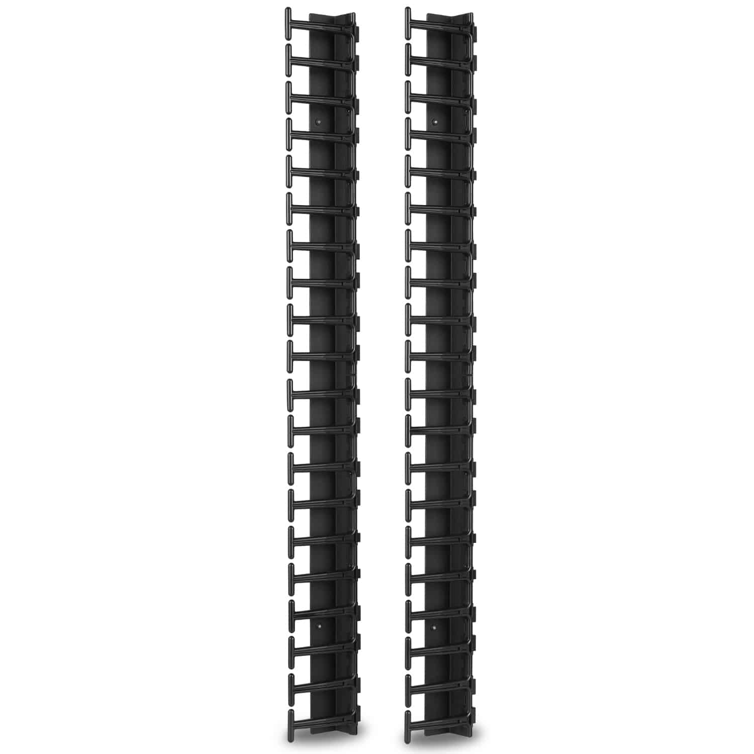 APC Verticale kabelmanager voor NetShelter SX 600 mm breed 42U (2x)