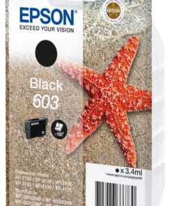 Epson Singlepack Black 603 Ink