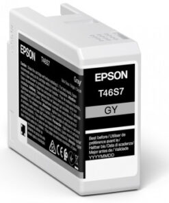 Epson UltraChrome Pro inktcartridge 1 stuk(s) Origineel Grijs
