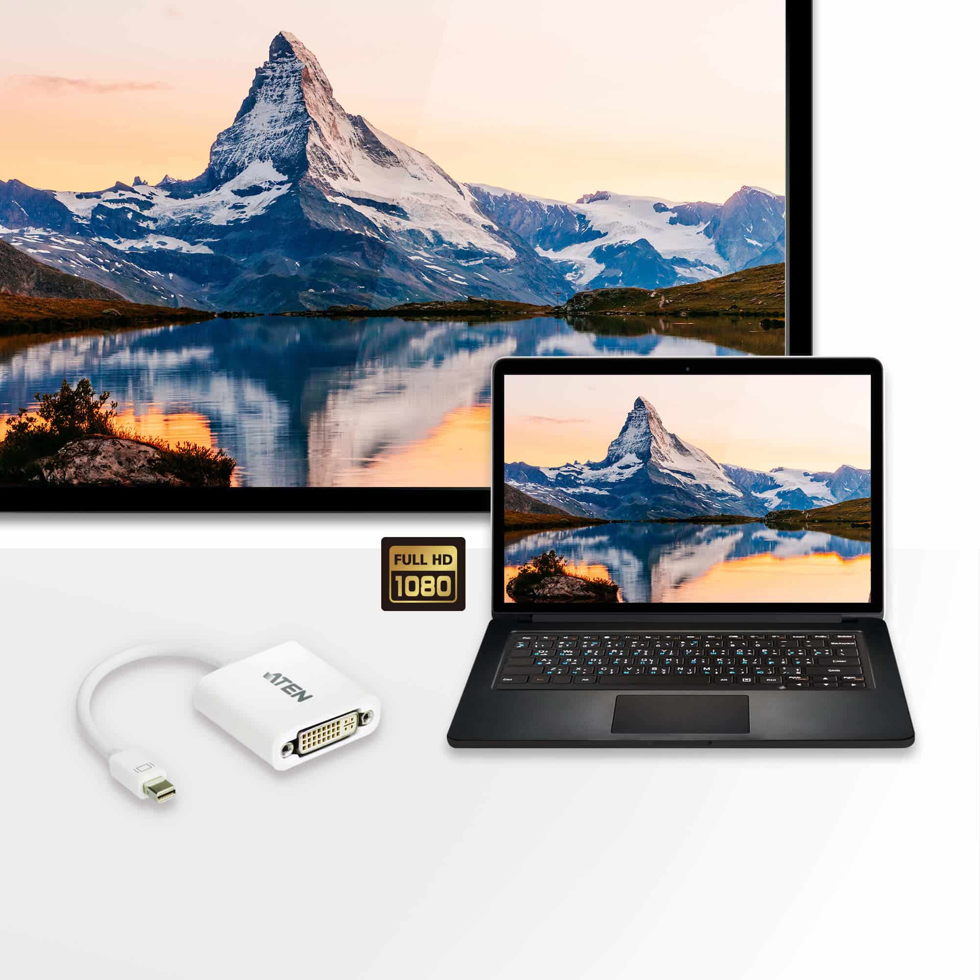 ATEN Mini DisplayPort naar DVI-adapter - Afbeelding 3