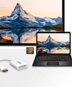 ATEN DisplayPort naar DVI-adapter - Afbeelding 2