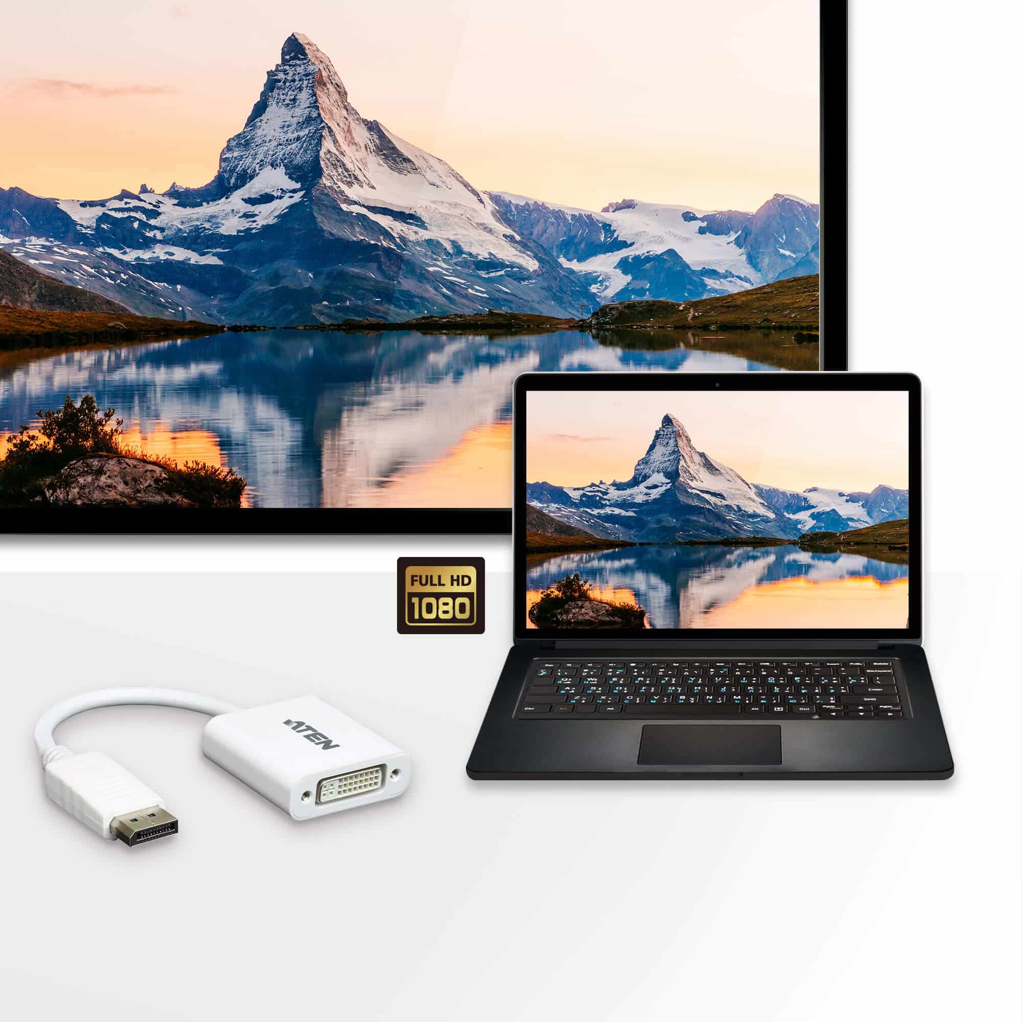 ATEN DisplayPort naar DVI-adapter - Afbeelding 2