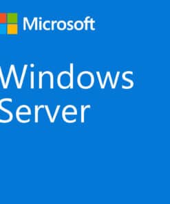 Fujitsu Microsoft Windows Server 2022 Client Access License (CAL) 1 licentie(s)