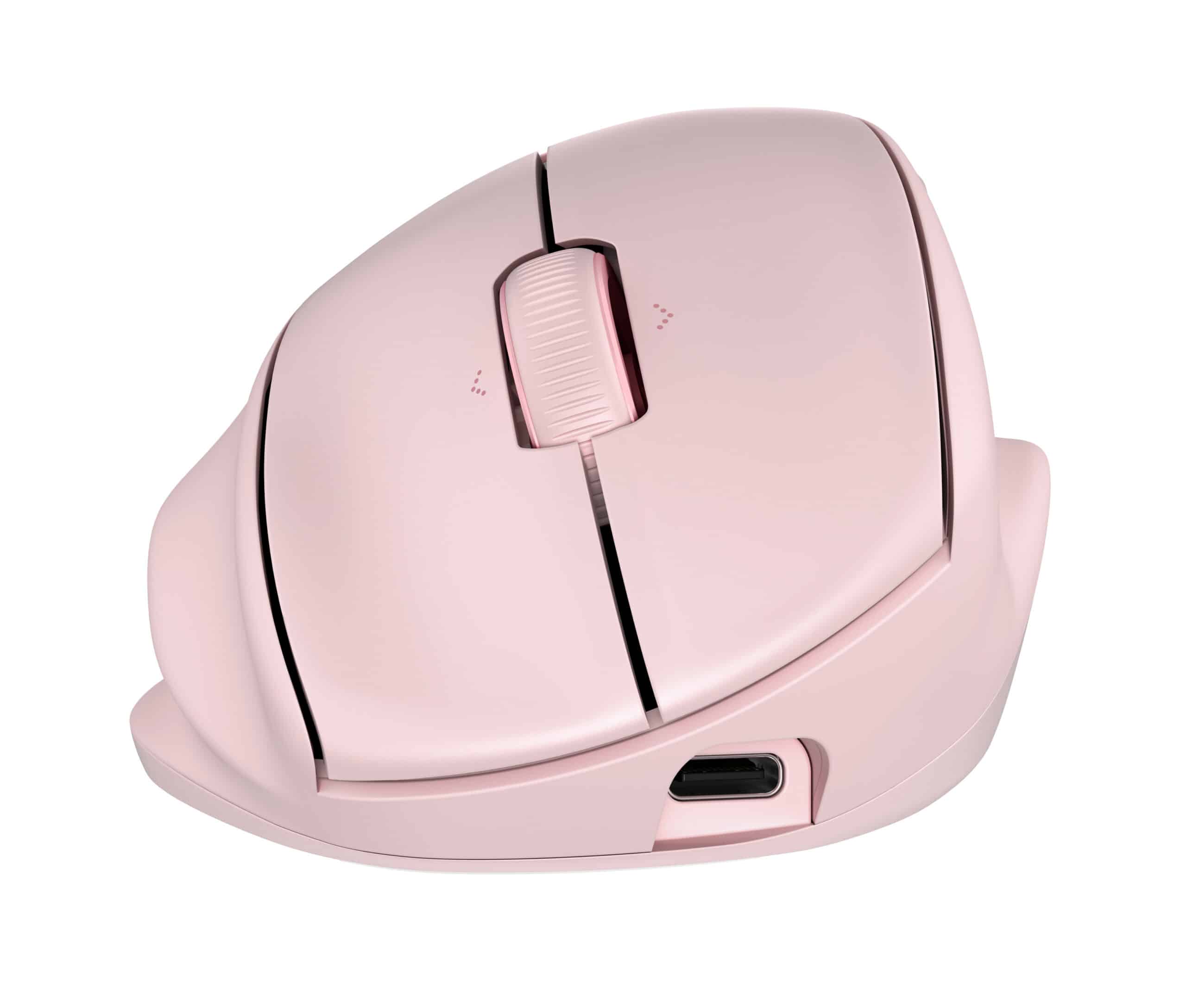 HP Tilt Ergo PNK MSE 720M EMEA-INTL EN L muis Thuis Rechtshandig RF-draadloos + Bluetooth 6000 DPI