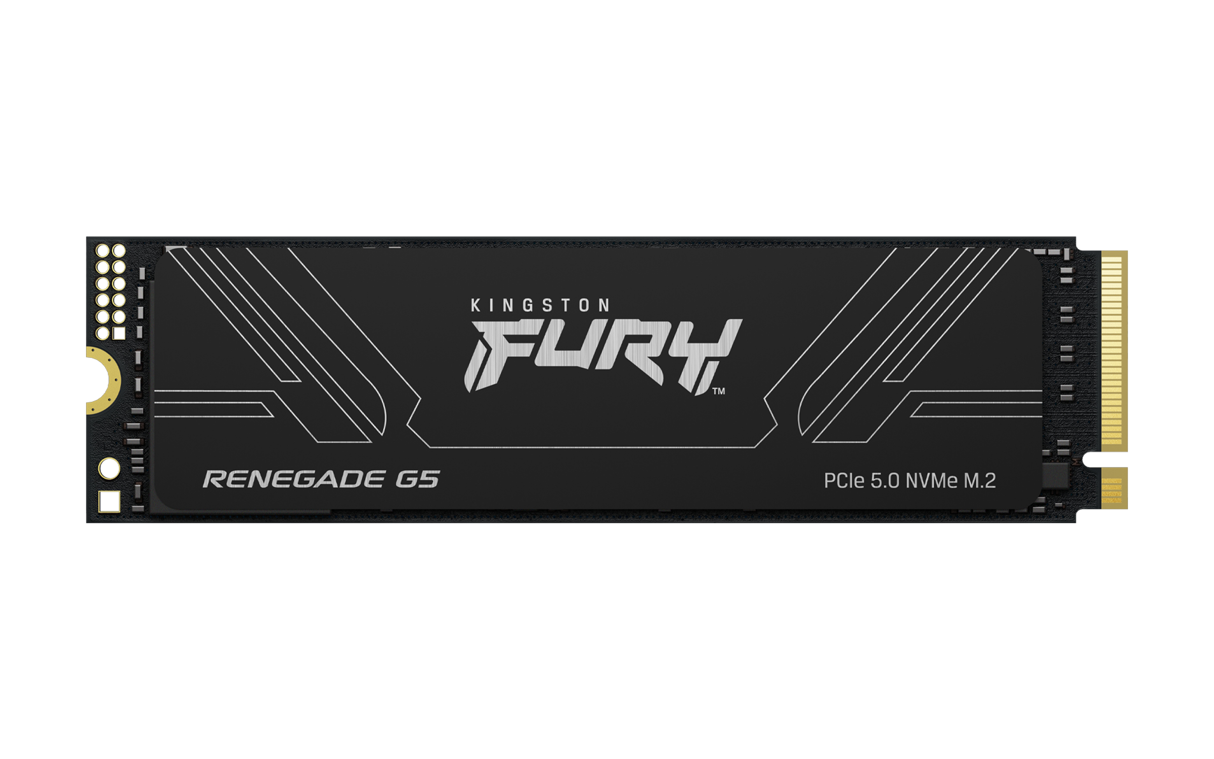 Kingston SFYR2S/1T0 FURY RENEGADE G5 M.2 2280 NVMe SSD, 1 TB, M.2, 14200 MB/s