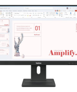 Lenovo ThinkVision E24-40 Monitor