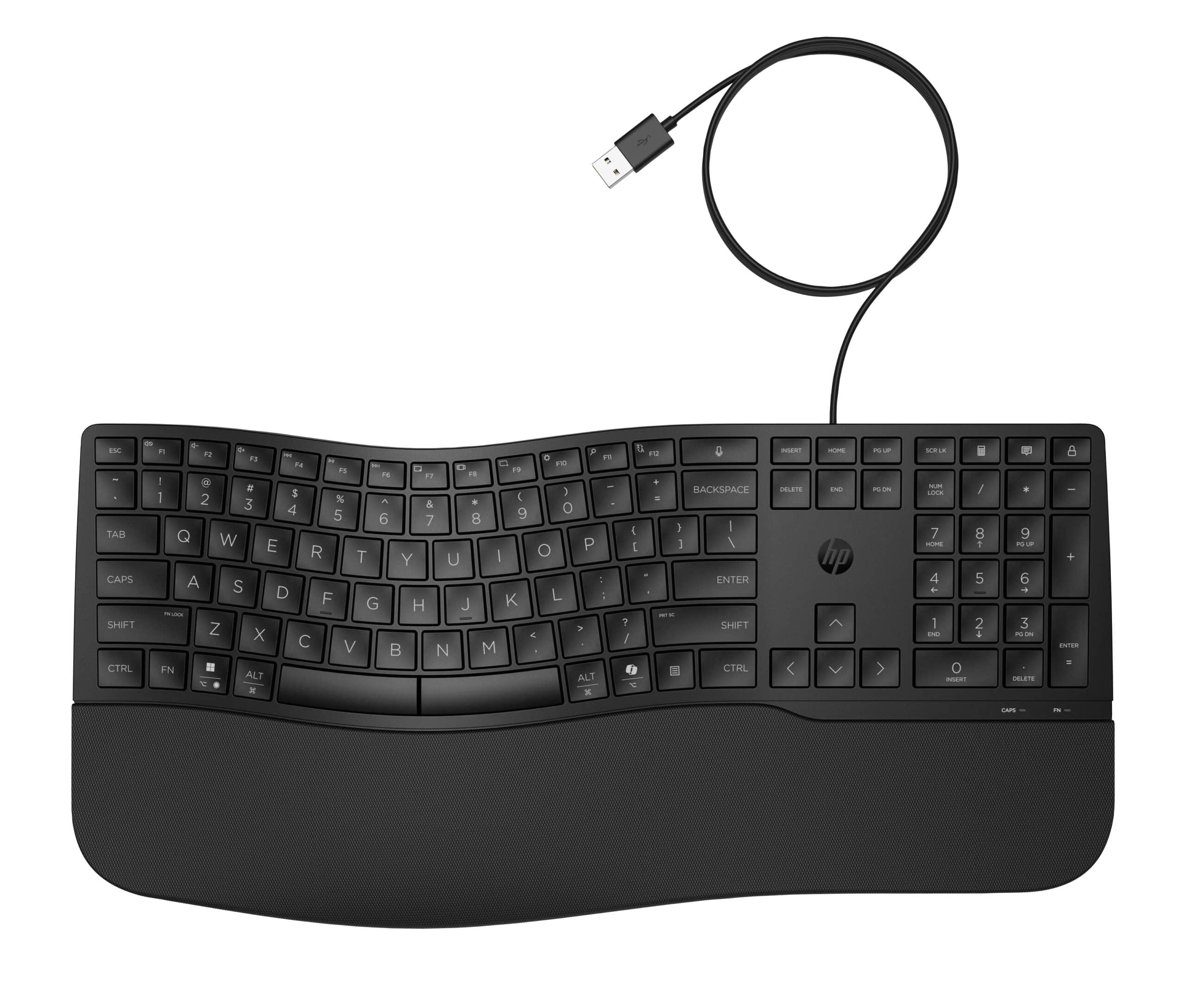 HP 485 CFT WD KBD toetsenbord Kantoor USB Zwart - Afbeelding 4