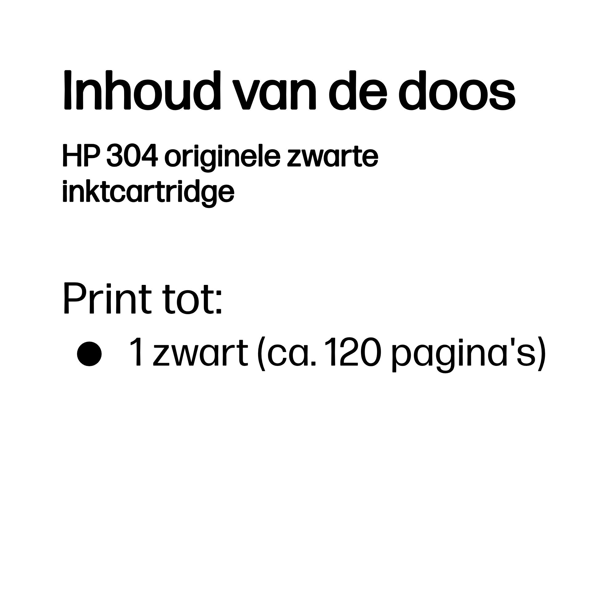 HP 304 originele zwarte inktcartridge - Afbeelding 2