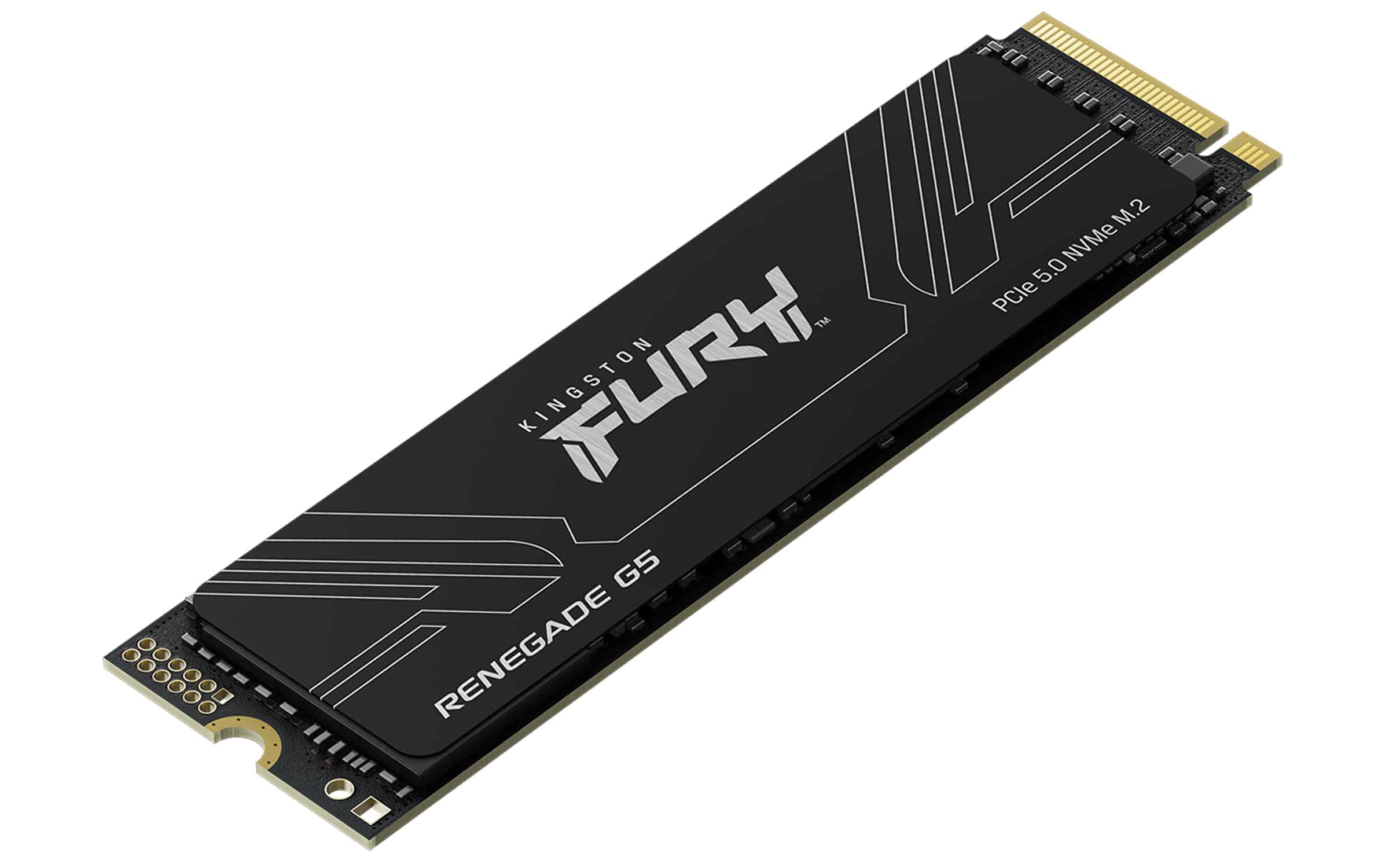 Kingston Technology 8T FURY RENEGADE G5 M.2 2280 NVMe SSD - Afbeelding 3