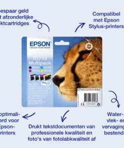 Epson Multipack 4-colours T071 EasyMail - Afbeelding 2