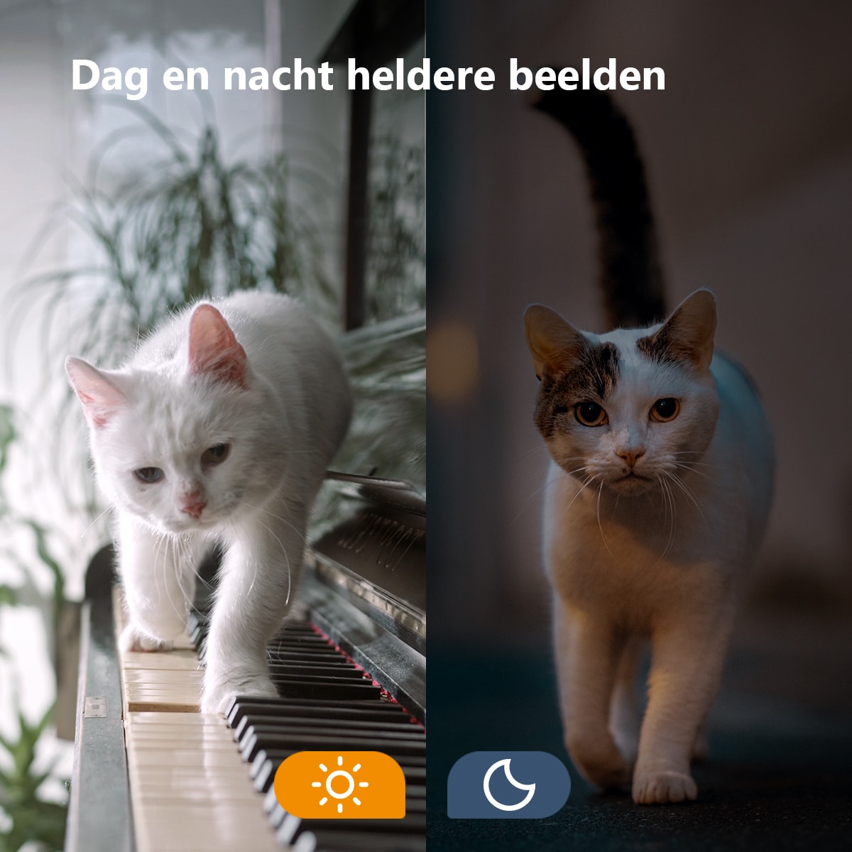 Versa 2MP - Afbeelding 2