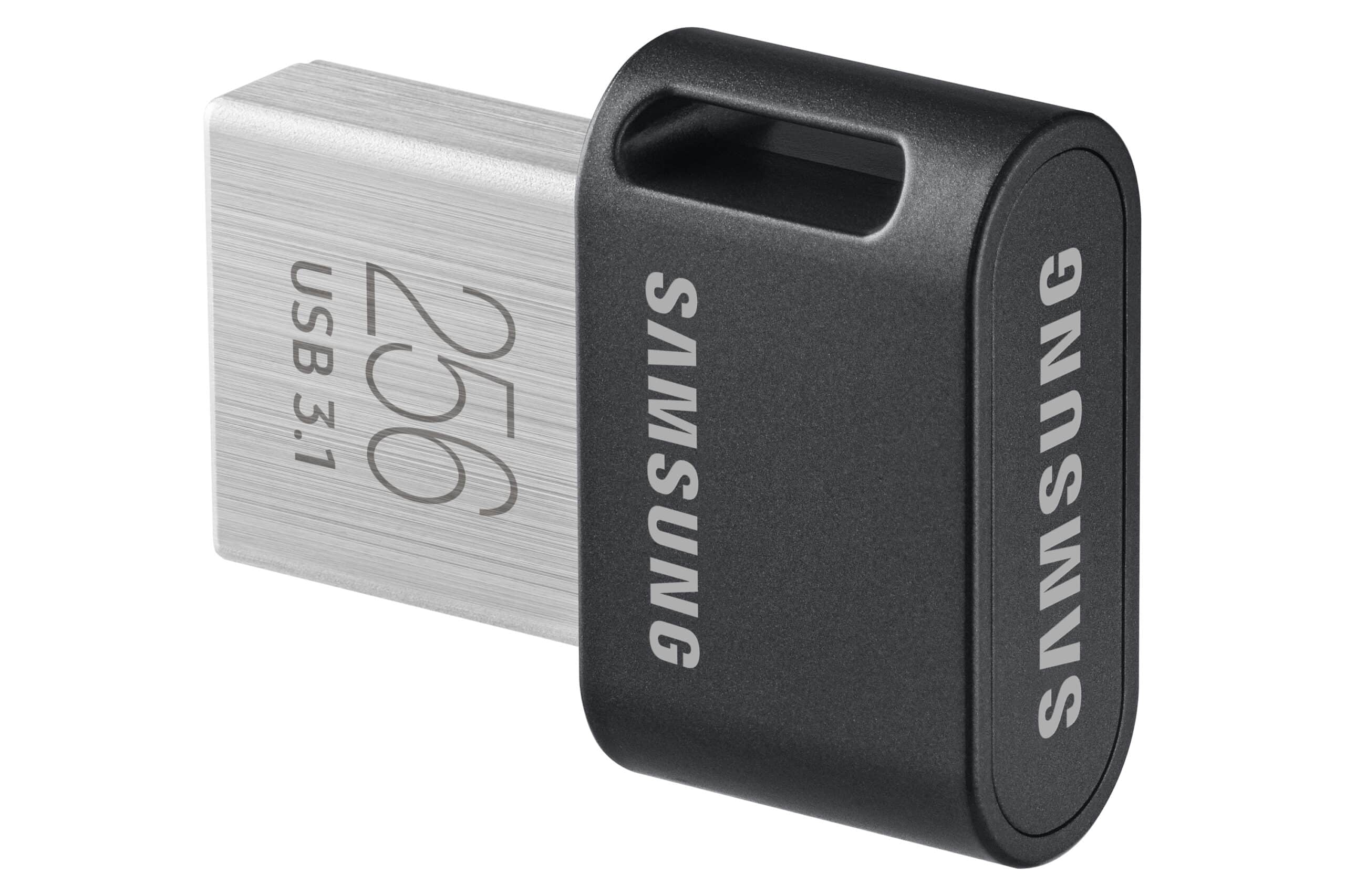 Samsung MUF-256AB USB flash drive 256 GB USB Type-A 3.2 Gen 1 (3.1 Gen 1) Grijs, Zilver - Afbeelding 2