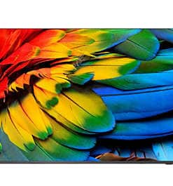 Philips 65HFL6214U/12 tv 165,1 cm (65") 4K Ultra HD Wifi Antraciet 400 cd/m²
