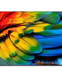 Philips 75HFL6214U 190,5 cm (75") 4K Ultra HD Smart TV Wifi Antraciet 400 cd/m²