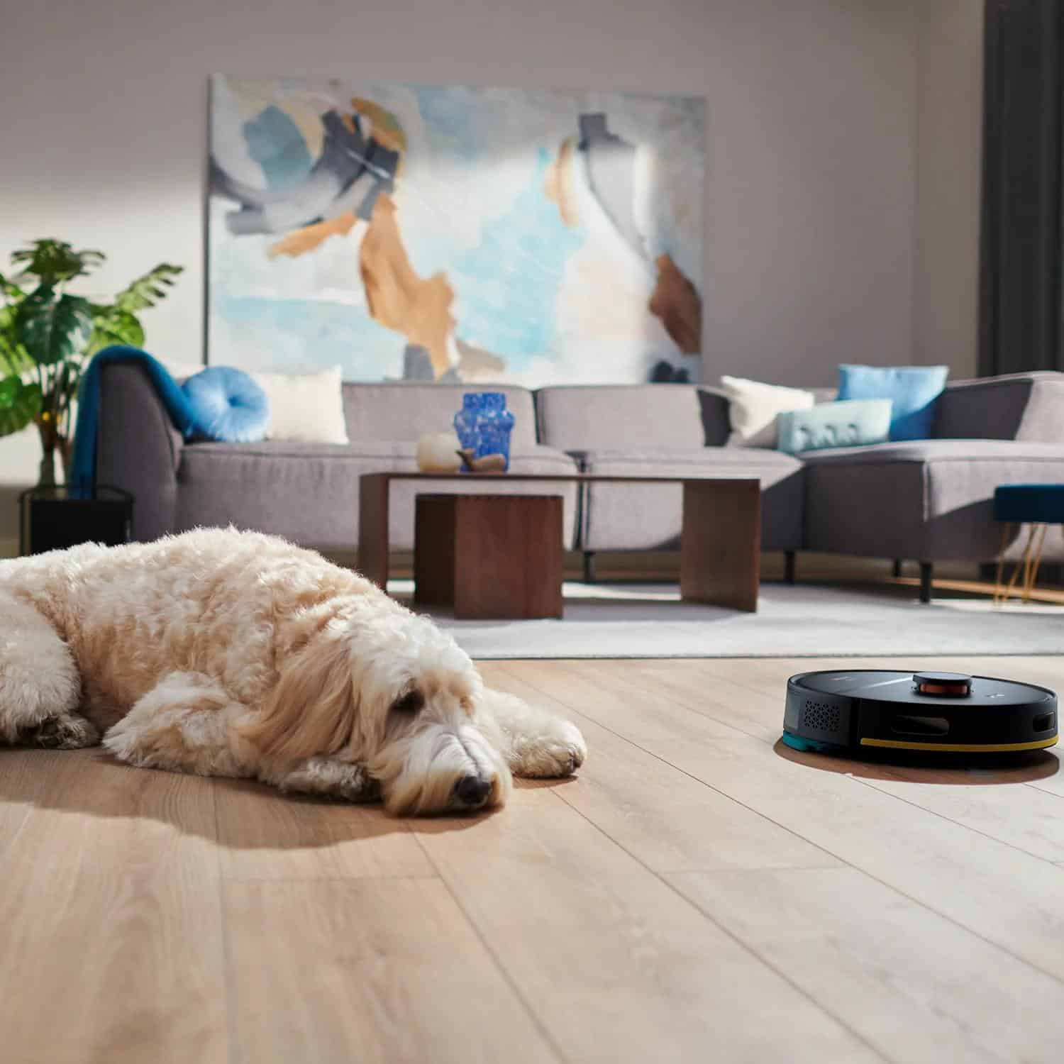 Philips HomeRun XV1433/00 Vervangingsset voor HomeRun 3000-robots - Afbeelding 3