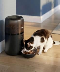 Philips 3000 series Smart Feeder 3000-serie met maaltijdplanning PET automatische voerautomaten - Afbeelding 4