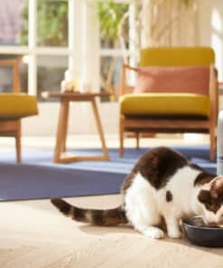 Philips Pet-serie - Afbeelding 5
